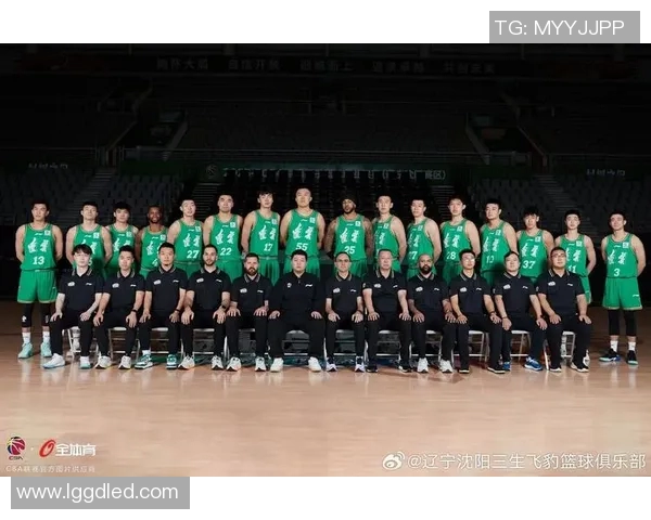 CBA精彩录像回放辽宁队对战东莞队全场精彩瞬间回顾与分析